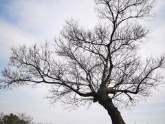 -尚贤河湿地