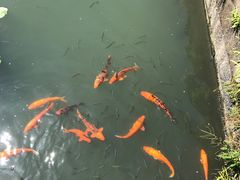 -绍兴饭店知遇楼(环山路店)