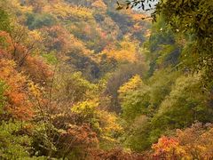 -少华山国家森林公园