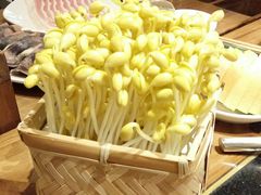 井水黄豆芽-巴奴毛肚火锅(龙湖锦艺城店)