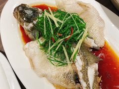 -周锦记广式餐厅(格林生活坊2期店)