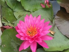 -长安上水缘度假庄园