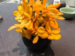 -止观小馆·辽河口渔家菜(王府井店)