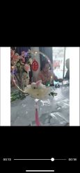 -馨果汇月子产康中心(南湖公园店)