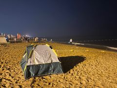 -东夷海鲜巨无霸(东夷小镇店)