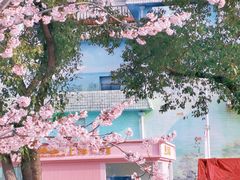 -顾村公园3号门停车场