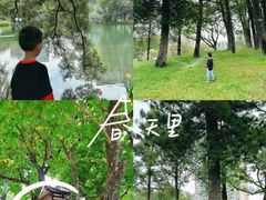 -四海公园(南山区)