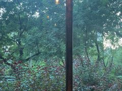 -管氏翅吧(广渠门店)