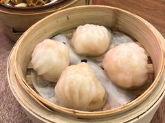 -富豪酒家(正大广场店)