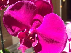 -远洋未来广场(育慧北路店)