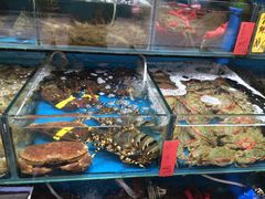 -盛港湾海鲜食府(黄沙店)