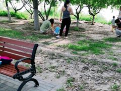 -大兴滨河森林公园