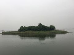 -微山湖红荷湿地景区