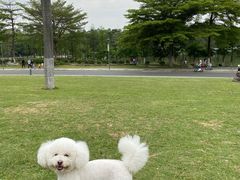 -东莞植物园