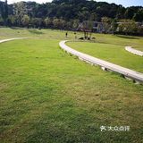 杨柳依依频点头，鸟语花香媚眼柔