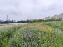 -白塘生态植物园