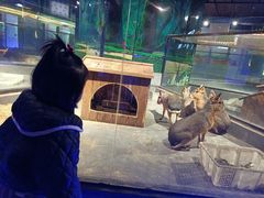 -荆州中山公园动物园