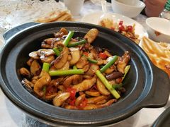 -金蝉食府(维吉奥广场店)