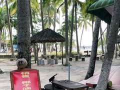 -东郊椰林