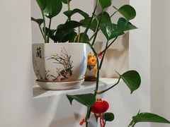 -佰推·肩颈腰·推拿理疗(湾悦城店)