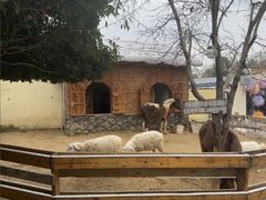 -HERRE·FARM 赫尔露营农场·团建聚会包场