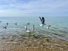 -青海湖国家重点风景名胜区