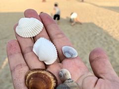 -东海岛旅游度假区