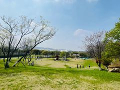 -羊山湖公园