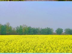 -汉长安城未央宫国家考古遗址公园