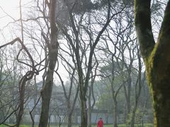 -杭州植物园
