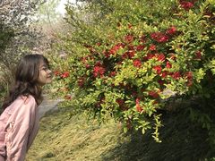 -石家庄市植物园