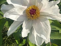 -狼山风景名胜区