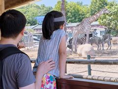 -大连森林动物园