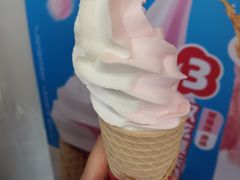 -蜜雪冰城·冰淇淋与茶(长郡中学店)