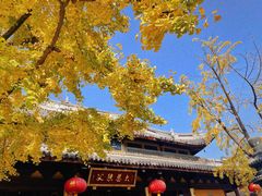 -龙华素斋(龙华路店)