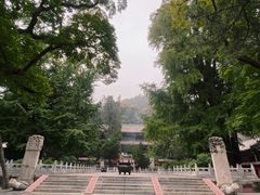 -潭柘寺景区