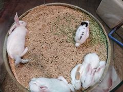 -正佳雨林生态植物园