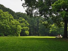 -共青国家森林公园-售票处