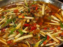 -黑蚂蚁(南河店)