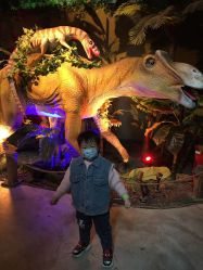 -恐龙探索乐园(磁器口店)