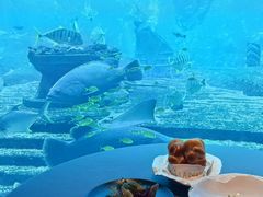 -亚特兰蒂斯•OSSIANO奥西亚诺海底餐厅