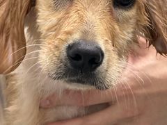 -它主义宠物(梁溪万达店)