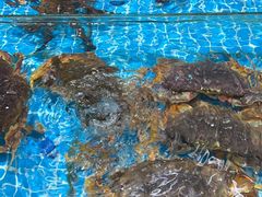 -琼大师东方烤乳猪(亚特兰蒂斯店)