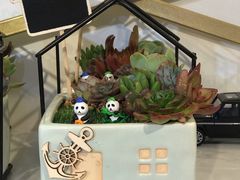 -花未央花店·WEYOUNG