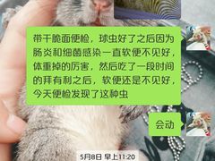 -雨林宠物医院 非犬猫异宠专科