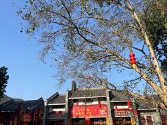 -悦城龙母祖庙