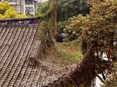 -乌山风景区