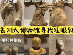 -四川大学博物馆