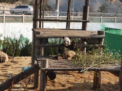 -西霞口神雕山野生动物世界