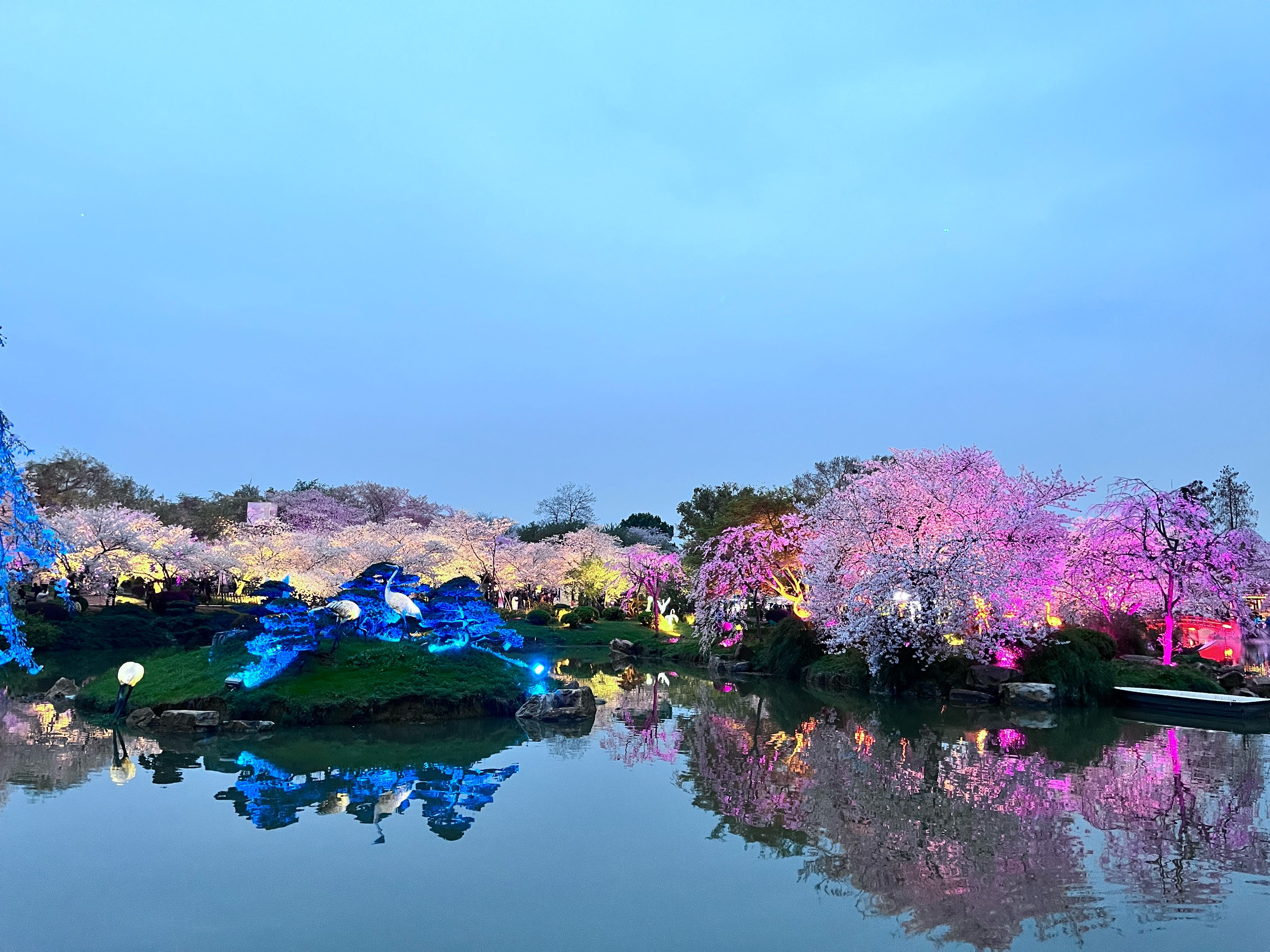 辽宁省朝阳市樱花节图片